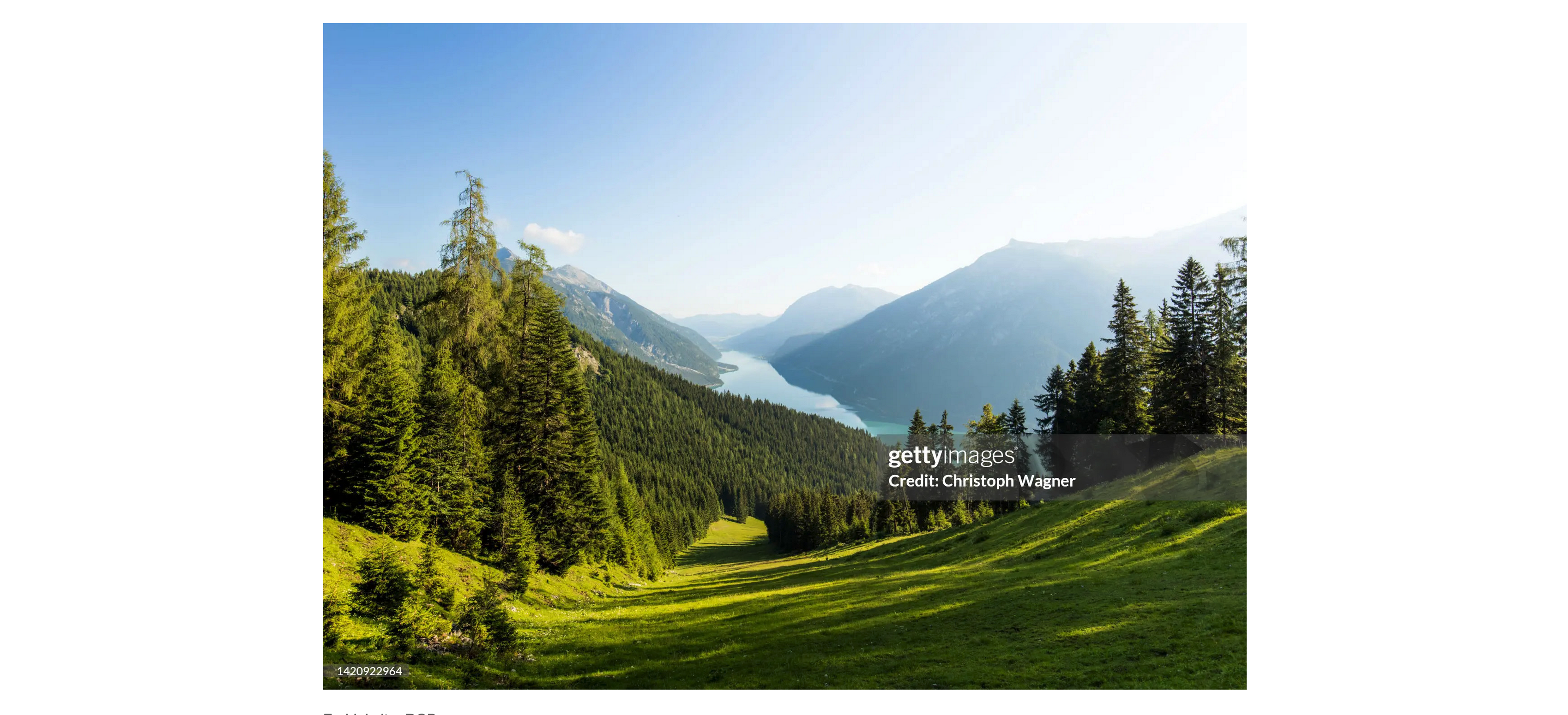 animation in css cover